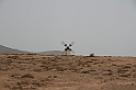 Kanary_2010 135
